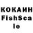 COCAIN Fish Scale KakoMiko