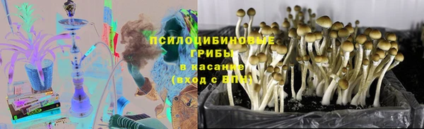 ПСИЛОЦИБИНОВЫЕ ГРИБЫ Балахна