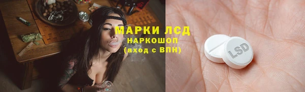 ПСИЛОЦИБИНОВЫЕ ГРИБЫ Балахна